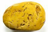 Polished Mookaite Jasper Specimen - Australia #314631-1